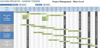 Project Schedule Micro Level
